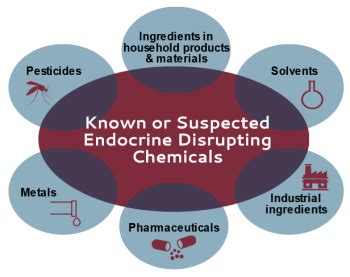 Endocrine Disrupting Chemicals Collaborative For Health Environment