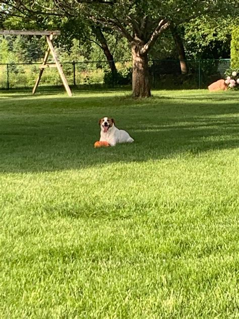 In memory of Leslie Nielsen who... - The Ultimate '80s Page | Facebook