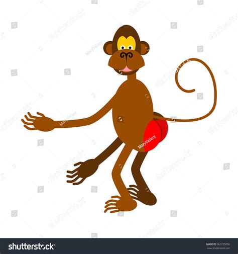 Red Ass Monkey Royalty Free Images Stock Photos Pictures Shutterstock