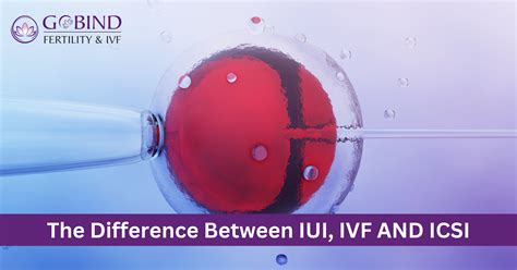 The Difference Between Iui Ivf And Icsi Gobind Fertility Ivf Centre