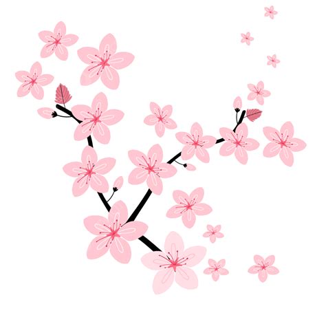 Sakura Cherry Blossom Vector Design Images Cherry Blossoms Pink Sakura