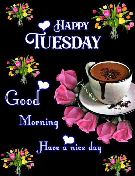 Happy Tuesday Good Morning Have A Nice Day Pictures Photos And