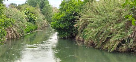 Ente Regionale Romanatura Riserva Naturale Valle Dell Aniene