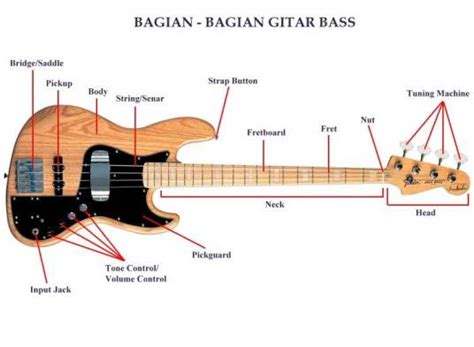 Mengenal Bagian Pada Gitar Bass Panduan Belajar Gitar