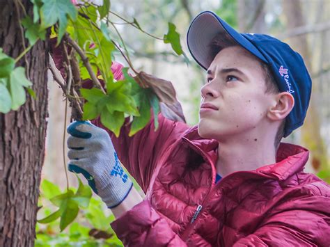 Student Conservation Corps | Bainbridge Island Parks & Trails Foundation