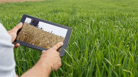 Opinión América Latina y el cambio climático la necesidad de un modelo productivo más