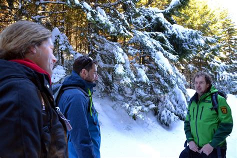 Nationalpark Schwarzwald Magazin Tiere Im Winter Ranger Tour