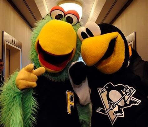 the pittsburgh pirates mascot and iceburgh....does the pirates mascot show up @ peniguins games ...