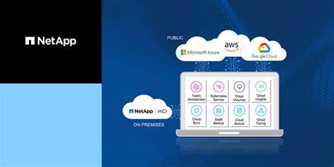 Simplify Data Management Across Public Or Private Clouds With Netapp