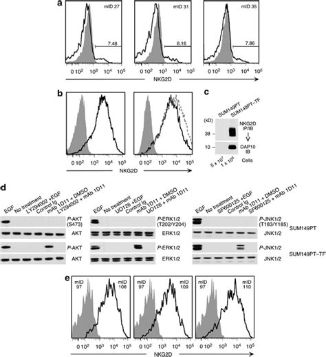 NKG2D Expression On Experimental Cell Lines And Xenograft Tumor Cells