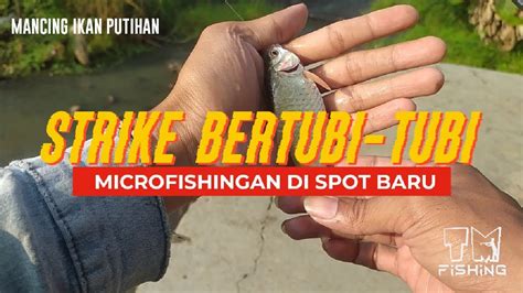 Mancing Ikan Putihan Strike Bertubi Tubi Pakai Umpan Ini Di Bendung