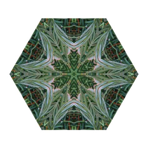 Kaleidoscope - Photography