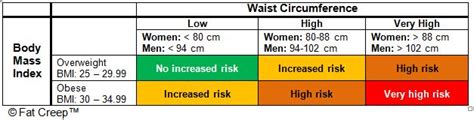 Waist to Hip Ratio and Waist Circumference - K. WOODWARD PERSONAL FINANCE