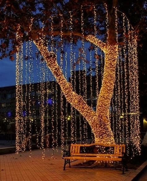 Fairy Lights In Garden