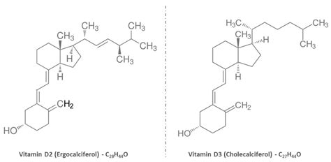 Nutraceuticals Free Full Text Vitamin D Physiology Deficiency