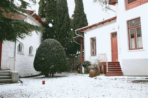 Дача чехова в ялте (73 фото) - красивые картинки и HD фото