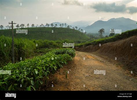 Wayanad District Hi Res Stock Photography And Images Alamy