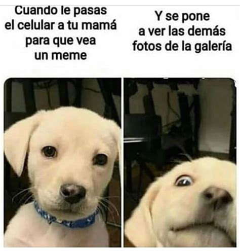 Cuando Le Pasas El Celular A Tu Mam Para Que Vea Un Meme Y Se Pone A