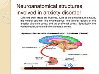 Neurobiology Of Anxiety In Times Of Pandemic Ppt