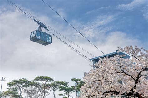 Seoul Namsan Cable Car Weekdays Roun Trip Ticket