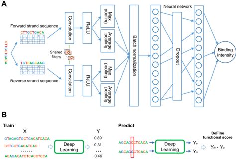 The Deep Learning Method For Assessing The Functional Impact Of Download Scientific Diagram