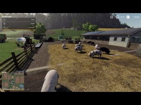 Tuto Farming Simulator Comment Bien Nourrir Les Cochons