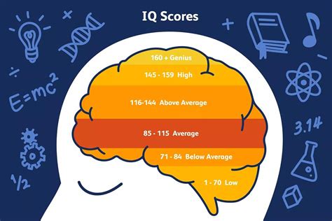 What Is The Average Iq And What Does It Mean Man Of Many