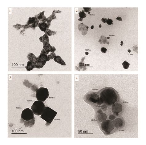 Tem Photos Of Pt Iv Complexes 1 4 Download Scientific Diagram