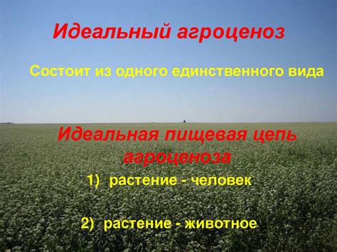 Агроценоз и агроэкосистема - презентация онлайн