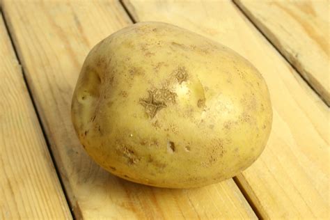 How to Prevent Potato Scab: 4 Steps (with Pictures) - wikiHow