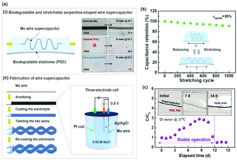 A Fully Biodegradable And Stretchable Wire Supercapacitor Ai