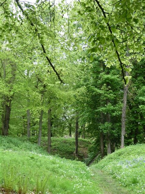 Footpath Through The Motte And Bailey At David Smith Cc By Sa 2 0