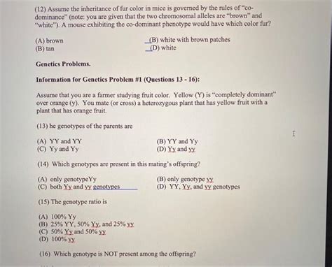 Solved molecule? DNA Structure and Gene Function. (1) A gene | Chegg.com