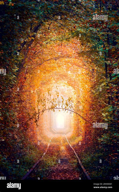 Fantastic Autumn Trees Tunnel With Old Railway Tunnel Of Love Natural Tunnel Of Love Formed