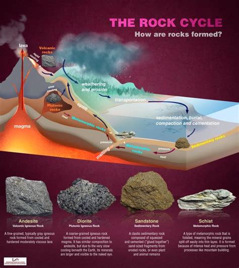 The Rock Cycle How Are Rocks Formed Yodisphere