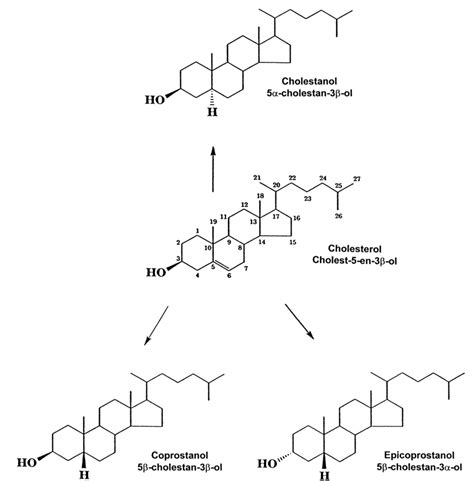 Structure Of Cholesterol And Related Sterol Compounds Download Scientific Diagram