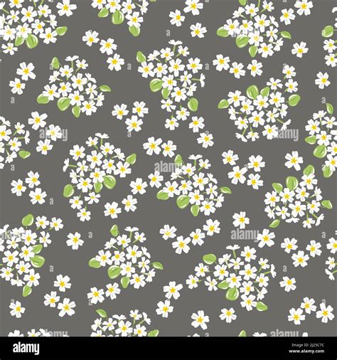 Calico Fabric Prints