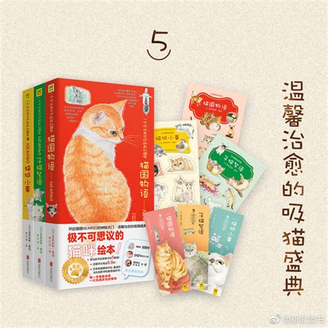 超治愈的猫咪绘本！铲屎官必备吸猫攻略！让书中的喵咪们