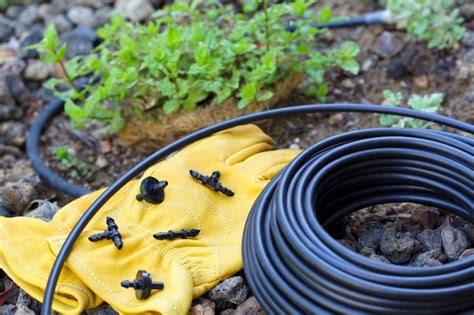 Repair Drip Irrigation Guide: How To Fix It Yourself {PRO Tips ...