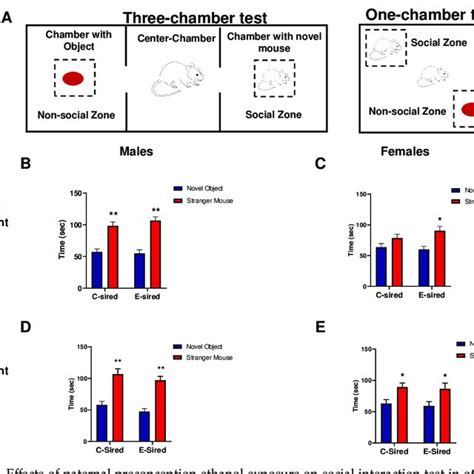 Effects Of Paternal Preconception Ethanol Exposure On Social