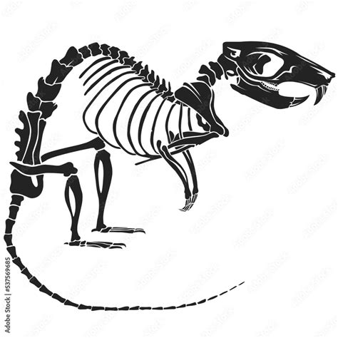 Rat skeleton illustration Stock Vector | Adobe Stock