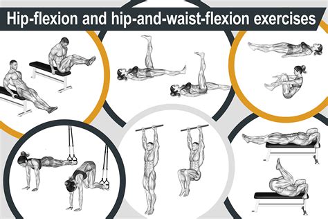 Muscles Of Hip Flexion