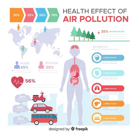 Free Vector Pollution On Human Body Infographic