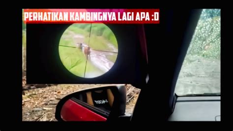 Hunting Ruak Ruak Dengan Cuaca Ektrim YouTube