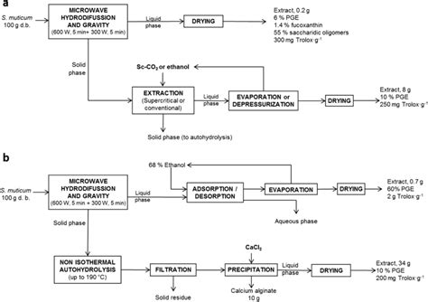 Microwave Hydrodiffusion And Gravity Processing Of S Muticum With The