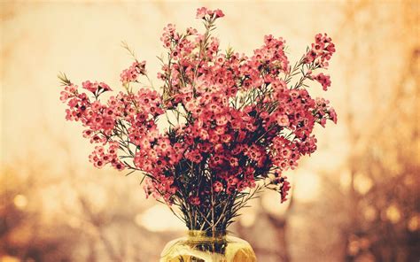 🔥 80 Flower Bouquet Wallpapers Wallpapersafari