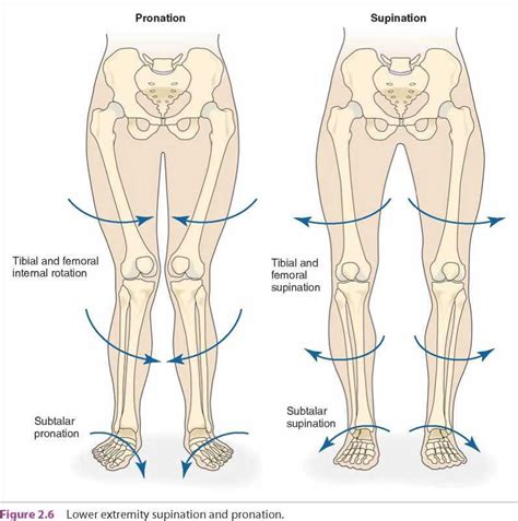 Ankle Internal Rotation