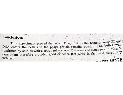 SOLUTION: DNA_structure - Studypool