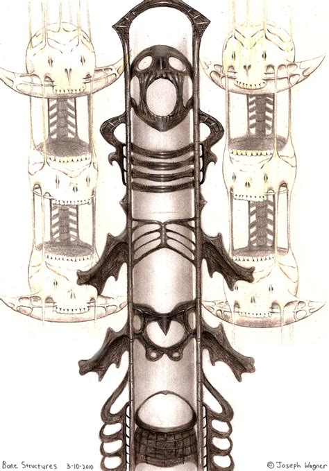 bone structures  barzona  newgrounds