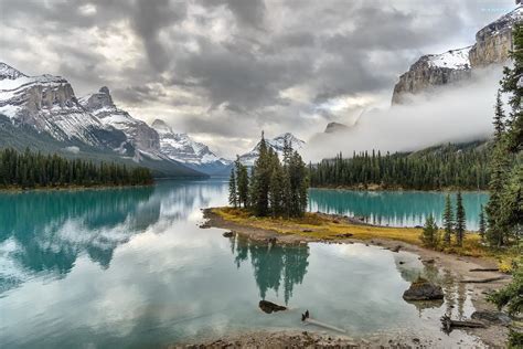 Drzewa Jezioro Maligne Wyspa Ducha Park Narodowy Jasper Kanada